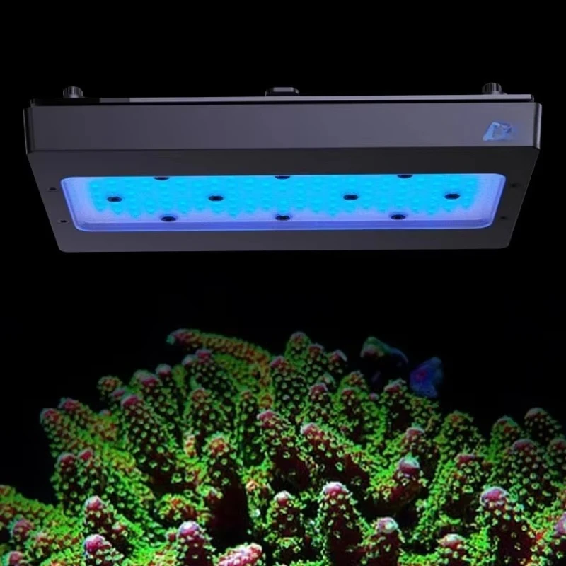 

LED Full Spectrum WiFi App Smart Control for High - Power Coral Reef Aquarium Lighting for Coral Reef Fish Tank
