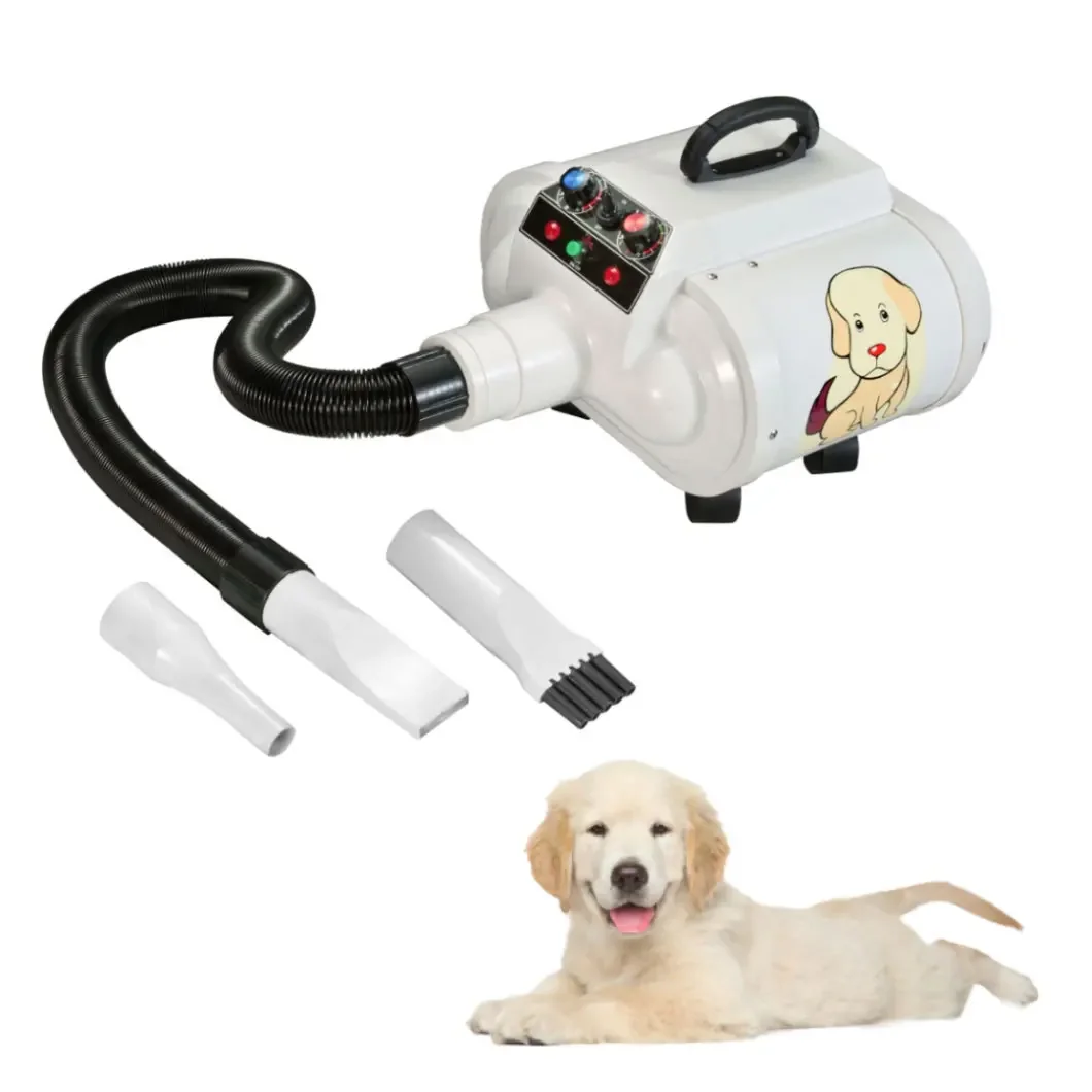 WET-007H Dual Motor Pet Hair Dryer Machine for small animals