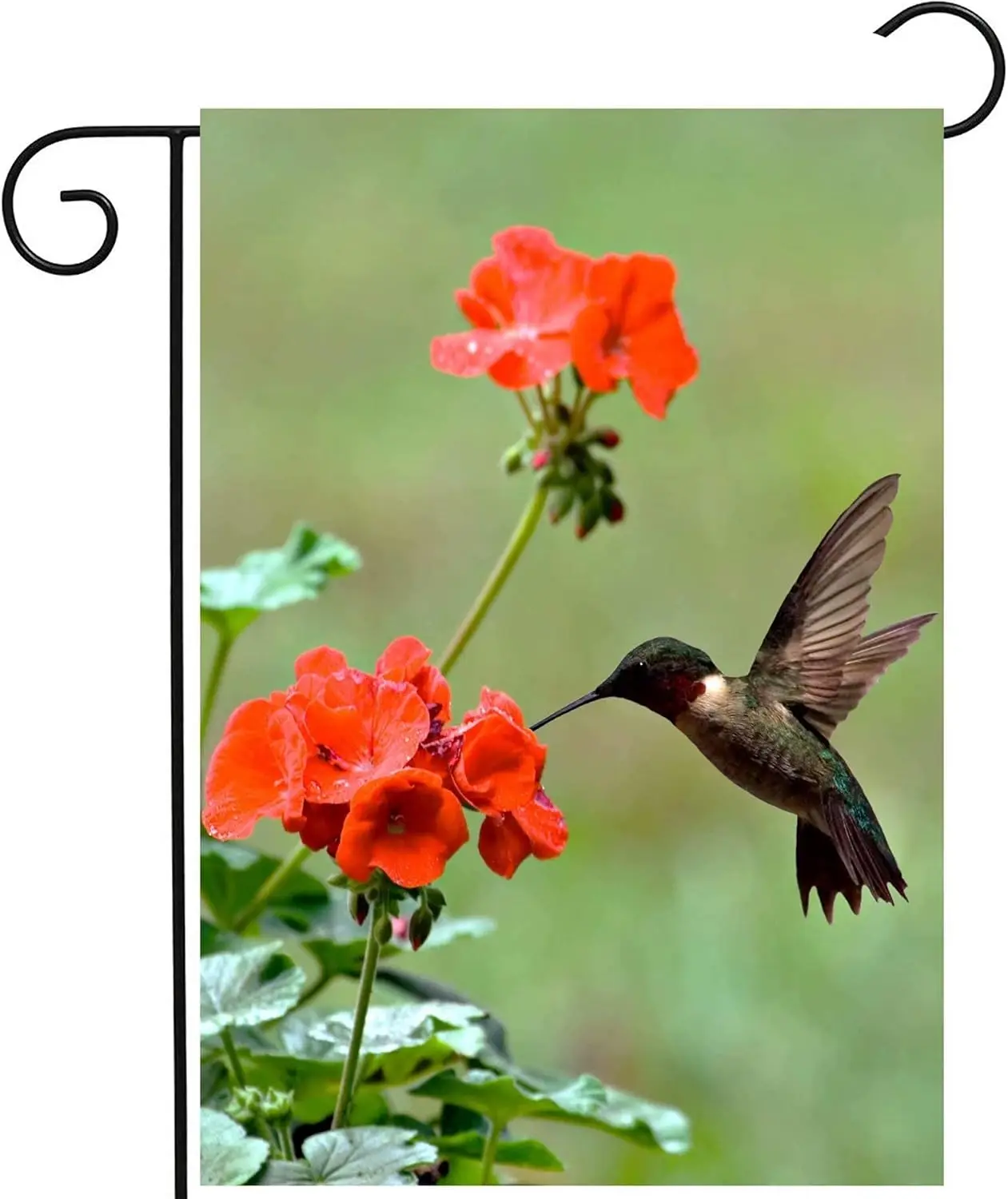 Hummingbirds Birds Spring Summer Red Flowers Blossom Seasonal Garden Yard Flag 12