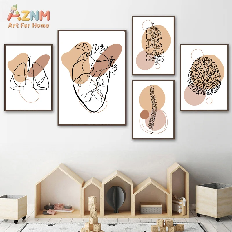Affiche sur toile AZNM Boho Line Art, anatomie humaine, cœur, cerveau, colonne vertébrale, sans cadre, art mural médical neutre pour clinique, salle d'étude
