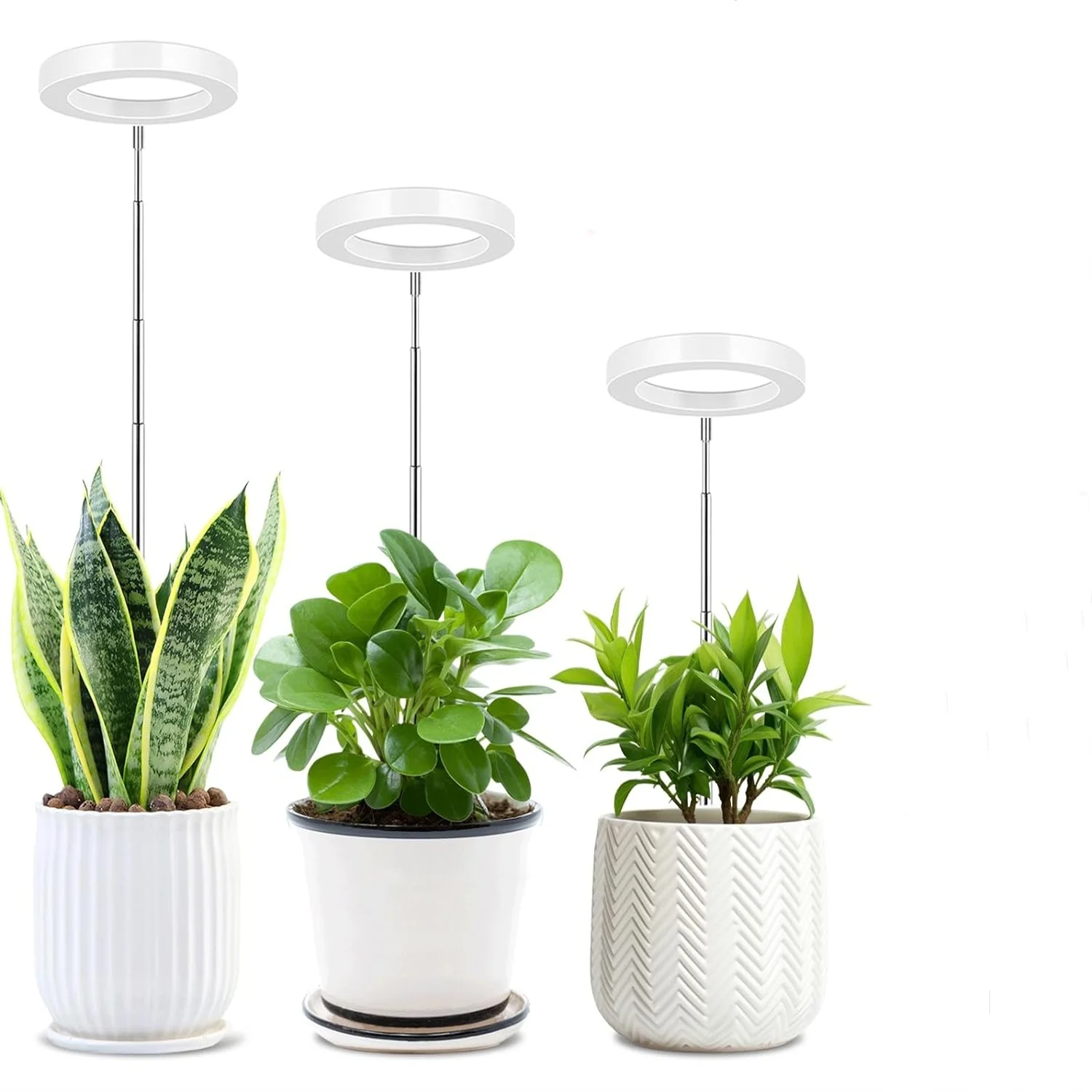 Anel de anjo usb cresce luz fitolamp para plantas com controle espectro completo fitolamp luzes casa flor mudas clipe phyto lâmpada