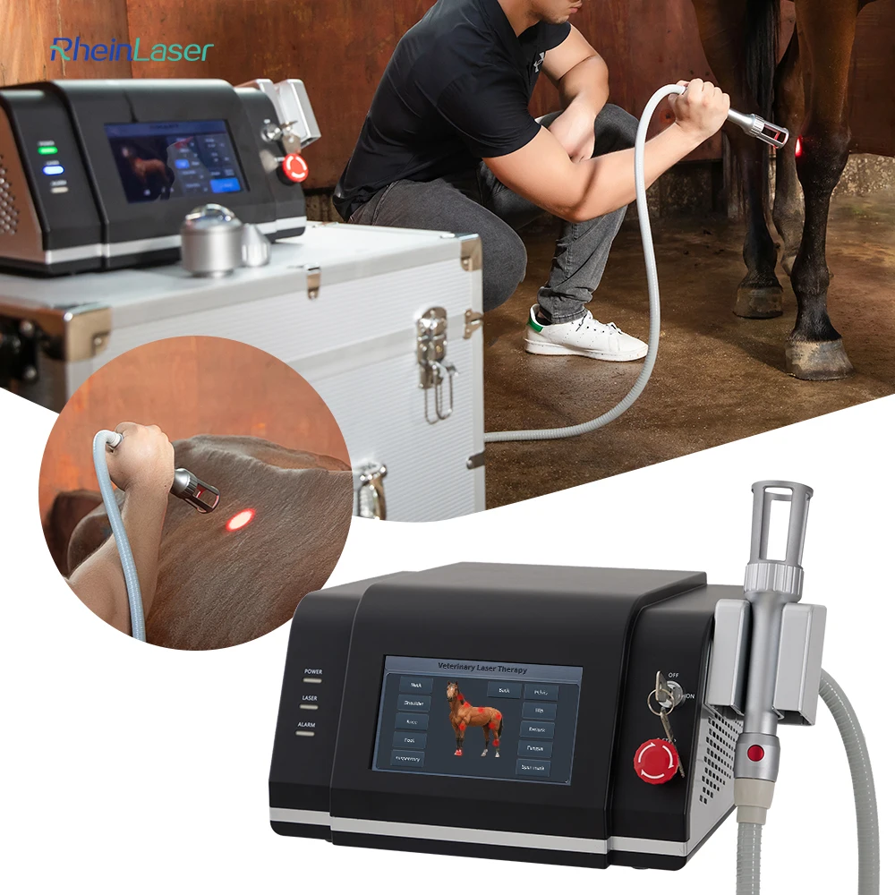 Veterinary Laser Physiotherapy 980nm 810nm Instrument Animals Pets Pain Therapy Treatment For Equine Tendon Injury