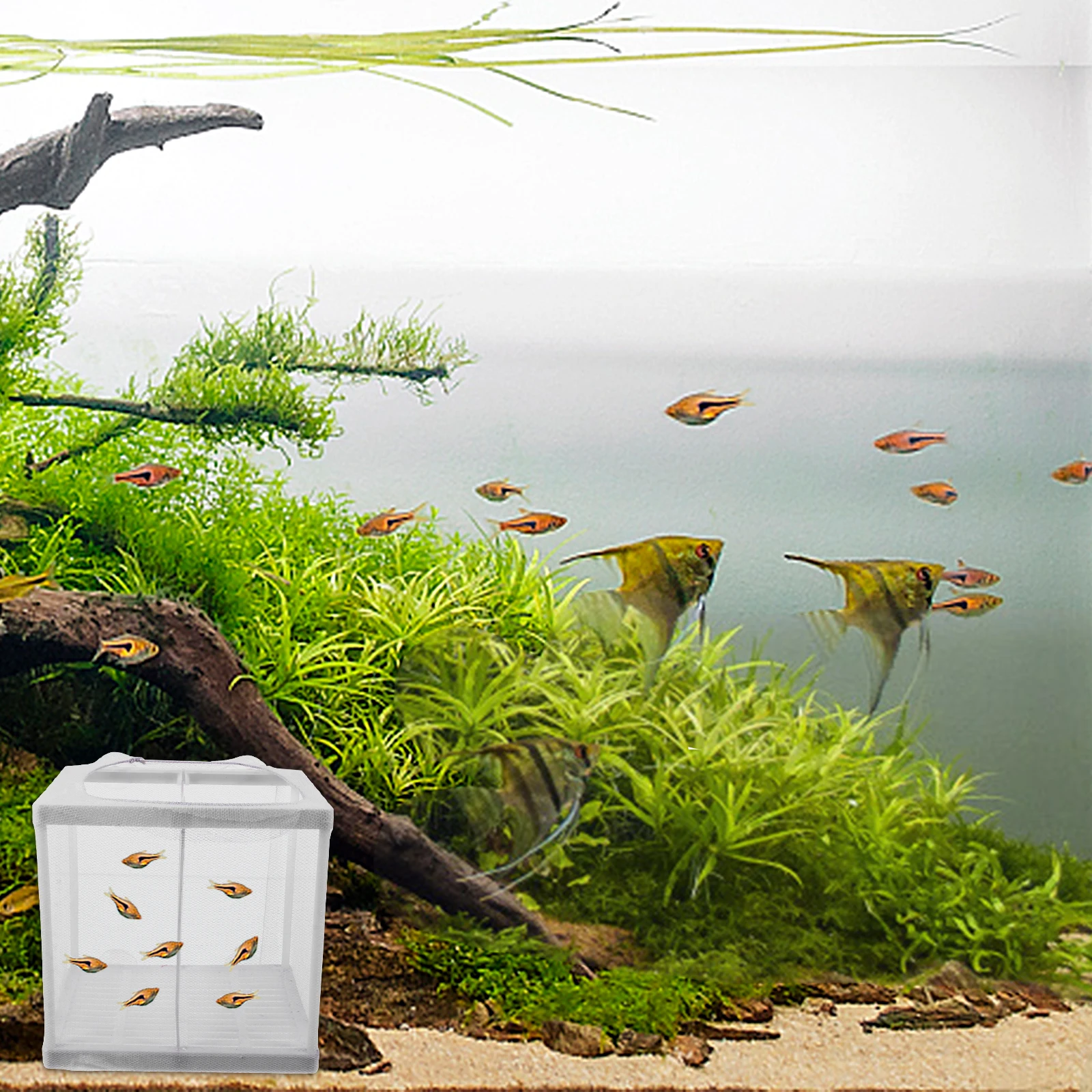 

2pcs Fish Separation Net Fry Hatchery Guppy Breeding Box Aquarium Fish Tank Incubator Plastic Clear Design