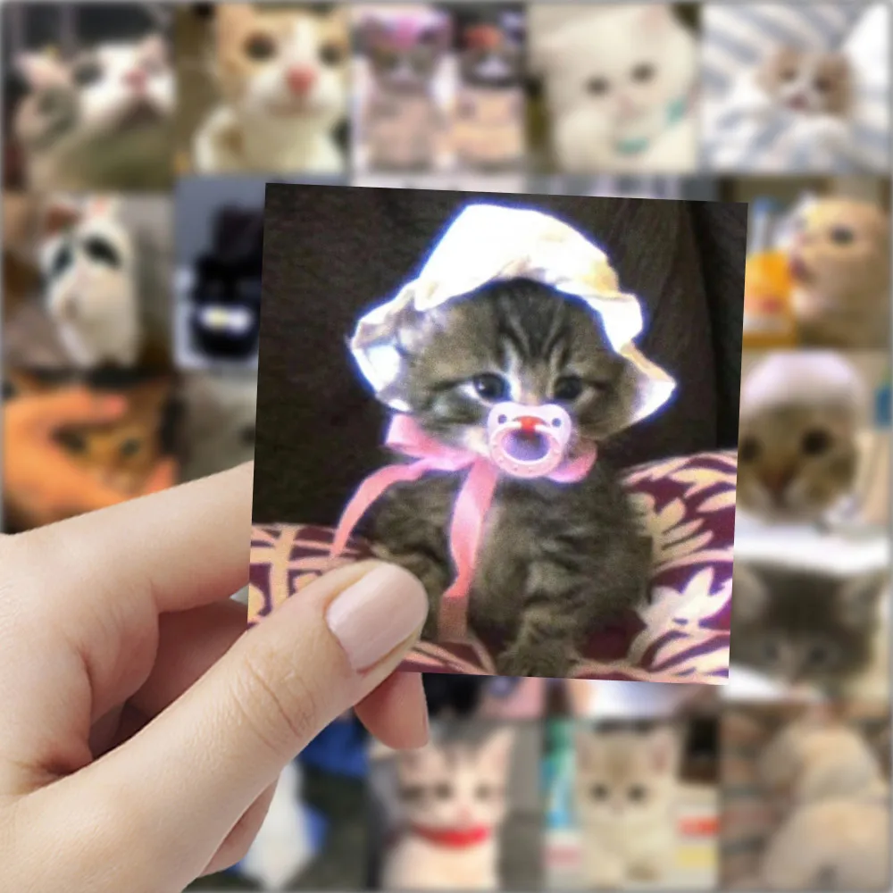 59 ملصقًا للقطط الغاضبة - شارات قطط لطيفة للديكور والحرف اليدوية لتسجيل متجر YourLife #5