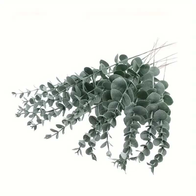 5/10/20 stücke künstlich getrocknete konservierte Eukalyptus blätter Zweige Duschen Hochzeits arrangements Eukalyptu Pflanzen Vase Wohnkultur – Detail 7