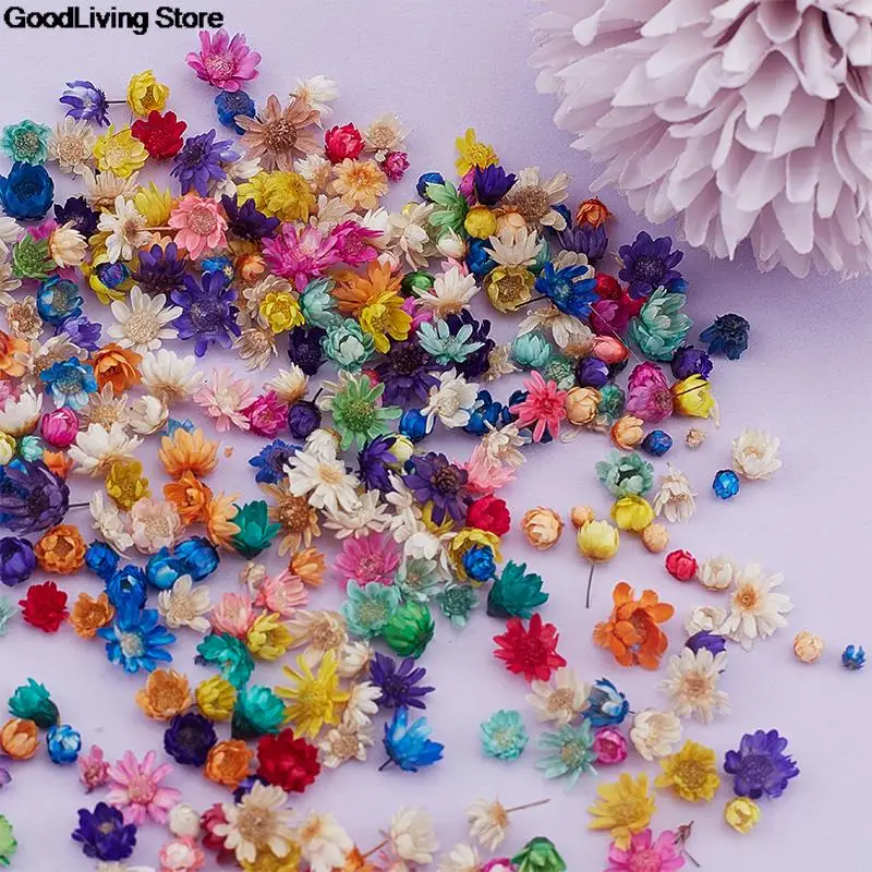 100/200PCS Real Dried Flowers Brazil Little Star Flower For DIY Art Craft Epoxy Resin Candle Making Jewellery