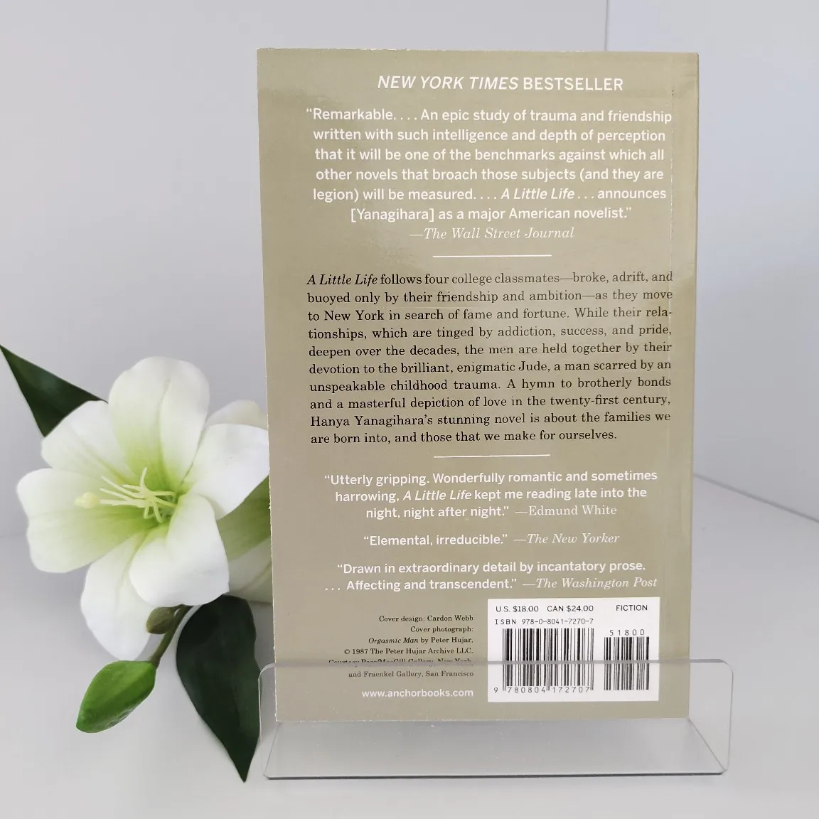A Little Life Contemporary Fiction Novel, Emotional Story of Friendship, Trauma & Resilience English Book