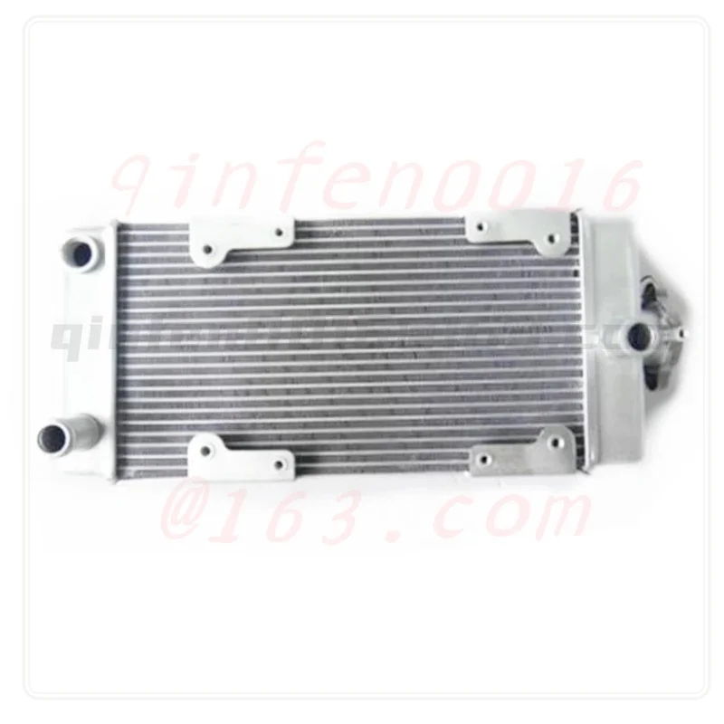 

For Regal Raptor DD250E-9A DD250E-9B DD250G-2N DD350E-6C 250cc 350cc Engine Motorcycle Engine Parts Water Cooler Radiator