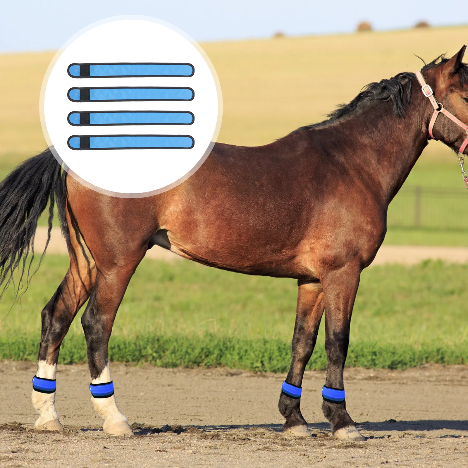 

4pcs Led Adjustable Riding Leg Straps For Night Safety Horse Ankle Strap Outdoor Riding Supplies Horse Accessories