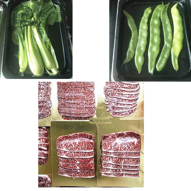 Multifunctional Steak Meat Fruit Ready Meal Rice Sea Food Processing Fish Skin Vacuum Packing Machine