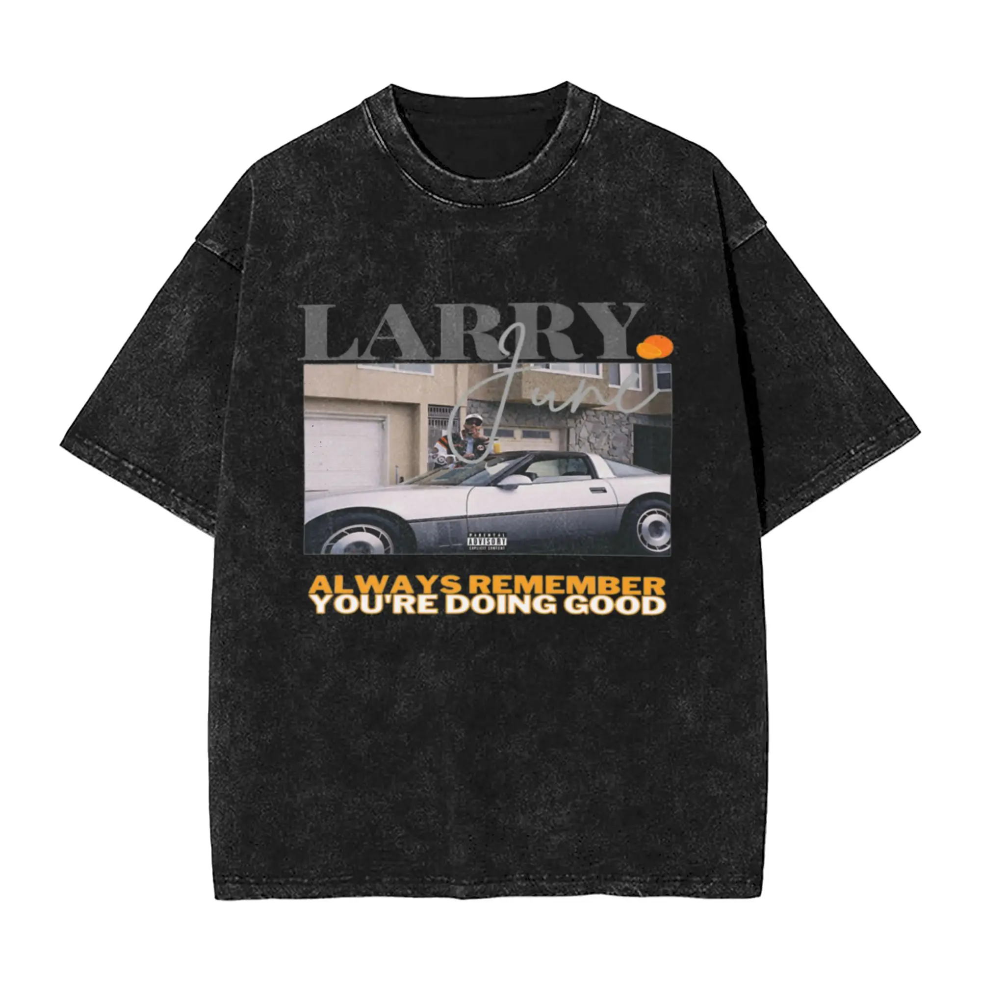 LARRY JUNE Unique Stylish A Vintage Oversized Cotton Unisex T-Shirts