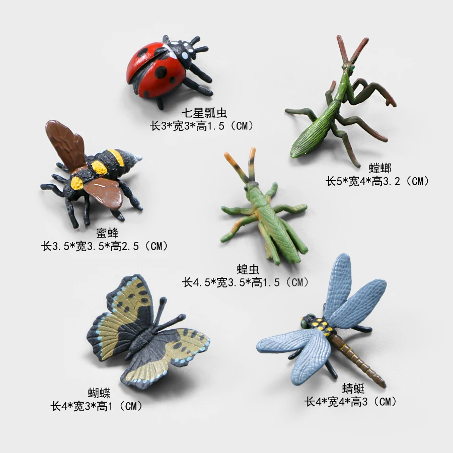 Mini Insect Models Simulation Animal Figurines Playset 6pcs,Mantis,Dragonfly,Butterfly,Scorpion Hand Painted Collection Kid Toys