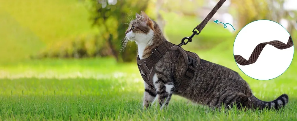 Reflective Cat Harness And Leash Set Adjustable Vest For Cats_voghion.com
