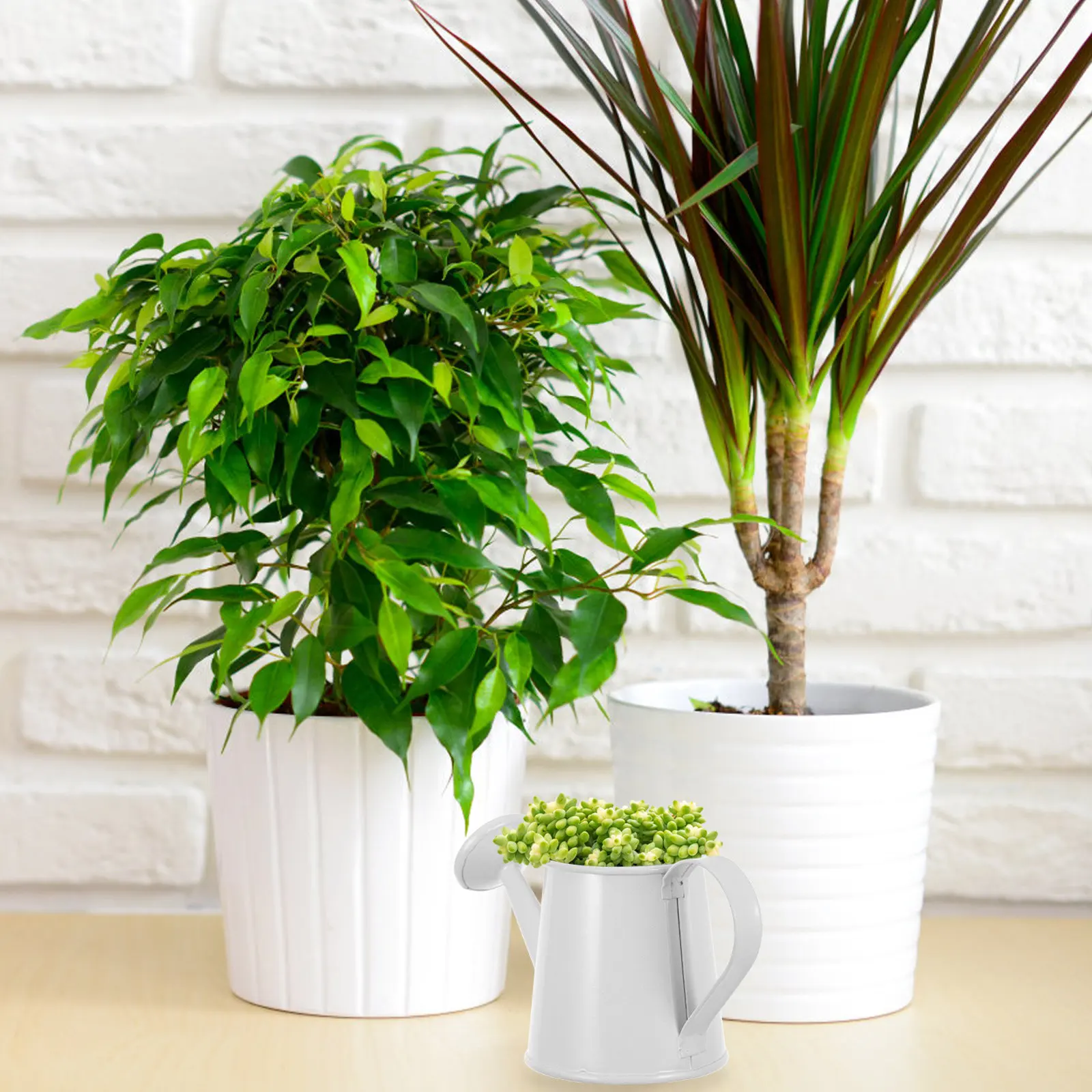 Miniature Iron Watering Can for Succulents Small Compact Decorative Plant Water Pot Office Desk Bookshelf Home Garden Accessory
