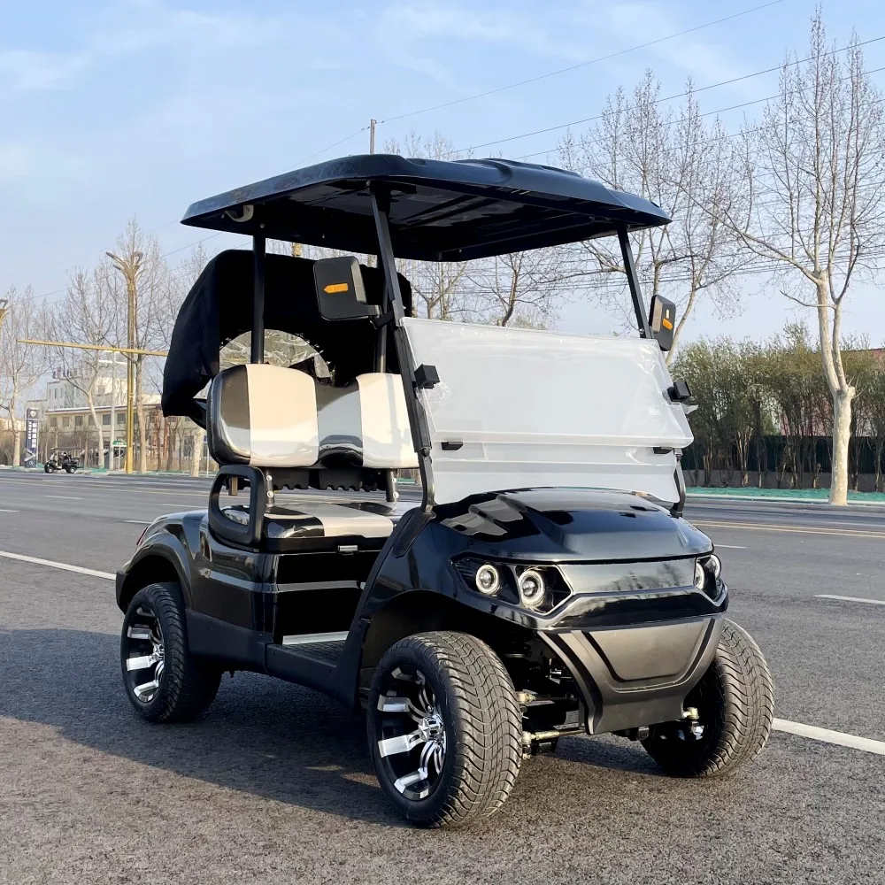 2024 New Model Style 2 Seat Sightseeing Bus Club Cart Electric Golf Buggy Hunting Cart for Adults