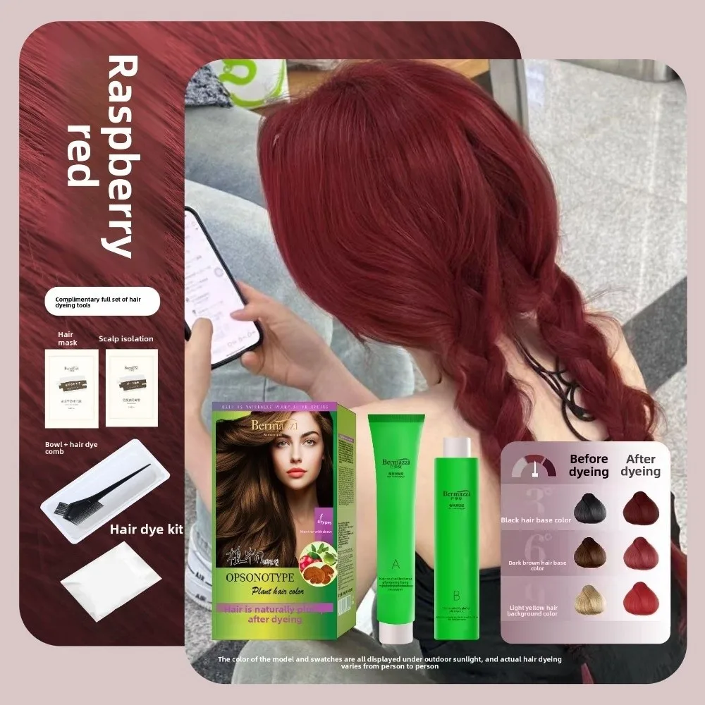 

Coloring in Minutes Plant Hair Color Long Lasting Chestnut Coffee Hair Colour Cream Fast Non Damaging Covering White Hair Dye