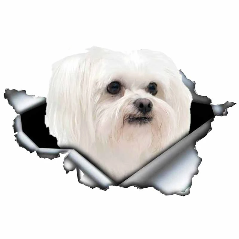 LYKX Lovely Maltese Pet Dog Car Sticker decoración impermeable Window Boot Decal Motorcycle Cover Scratch PVC Decals