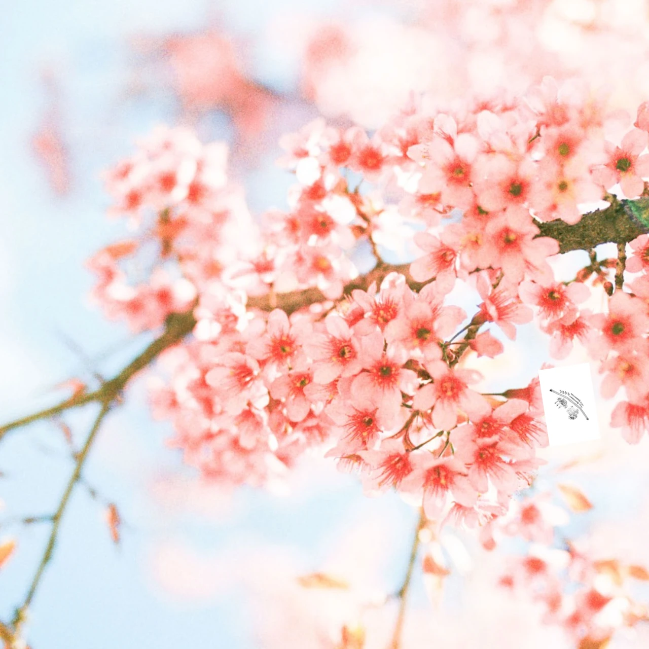 

GPM Alloy Front Knuckle Arm And Steering Rod Set for AXIAL 1/10 RBX10 Ryft Upgrade Parts