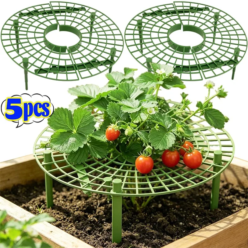 Strawberry Anti Rot Stand Interlocking Plant Support Tray Mesh Fruit Protection Rack for Climbing Vegetable Pot Balcony Supplies