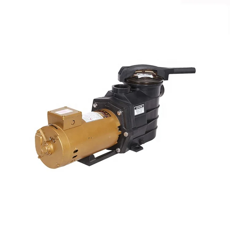 OEM Available Variable Speed Electric Motor Swimming 5 HP Pool Pump