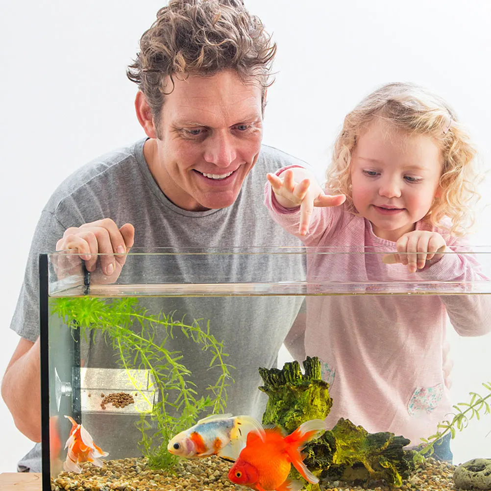 

6pcs Tray Fish Tank Clear Acrylic Food Holder Clear Dishes Tray Compact Size Smooth Surface Aquarium Pet Supplies