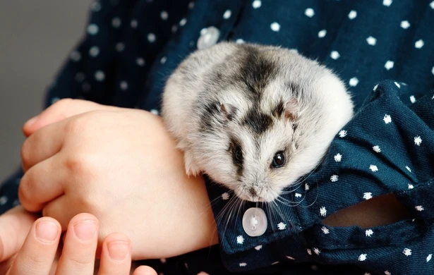 

Полный комплект передних и задних портальных осей для радиоуправляемых краулеров 1/24 Axial SCX24 Gladiator Bronco C10 Deadbolt JLU