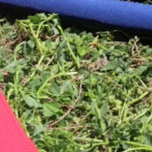 

Защитный рукав для весла для каноэ, защитный рукав для весла, нескользящий чехол для весла для лодки, чехол для весла для каяка, специальный аксессуар