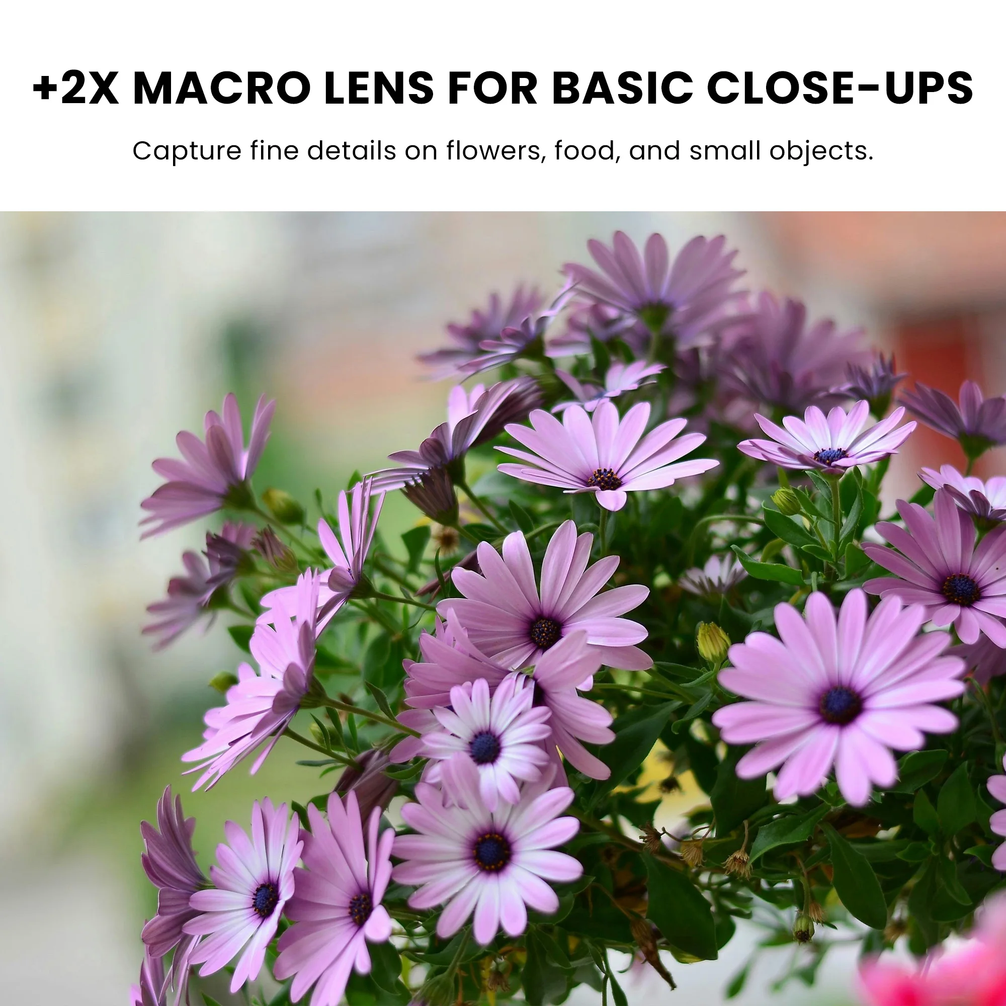 WalkingWay +2+4+8+10x Close Up Filter Camera Lens Macro Filtrer High Definition Zoom In Detail Shooting for Shoot Jewelry Plants