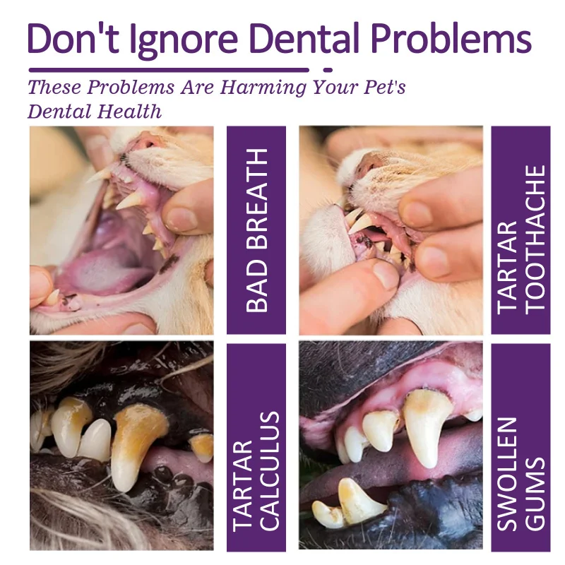 

Strong Pet Toothpaste Fights Tartar & Bad Breath - Teeth Cleaning Gel for Plaque Control & Fresh Breath, Dog Cat Use