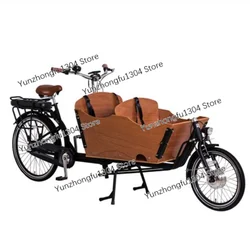 New Style 250W Front Loading Dutch Cargo Bicycle 2 Wheel Family Use Cargo Bike Electric