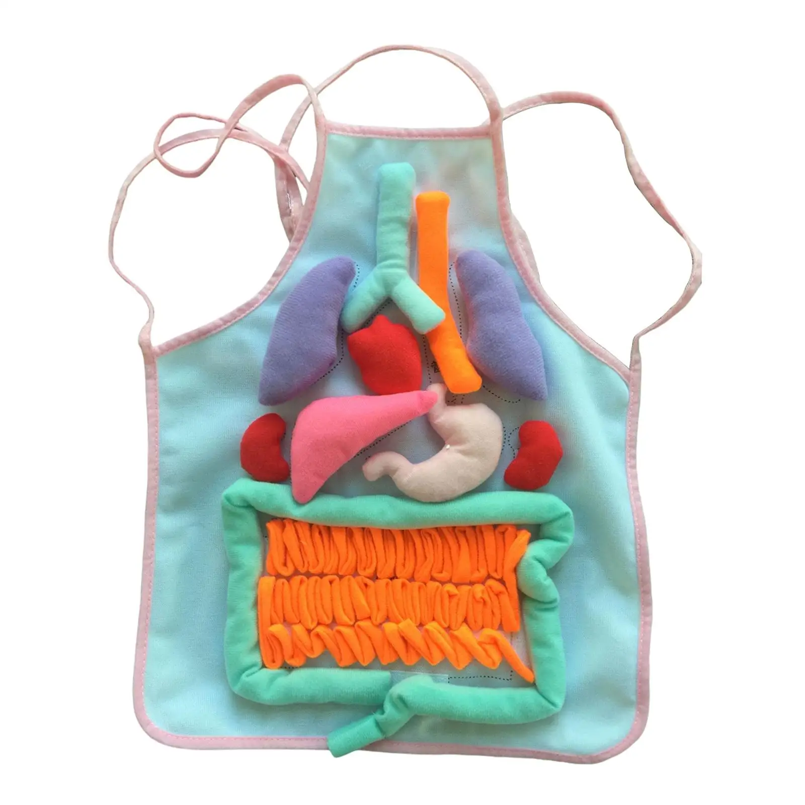 

3D фартук для органов, детский обучающий фартук для школы, части тела Viscera, синий