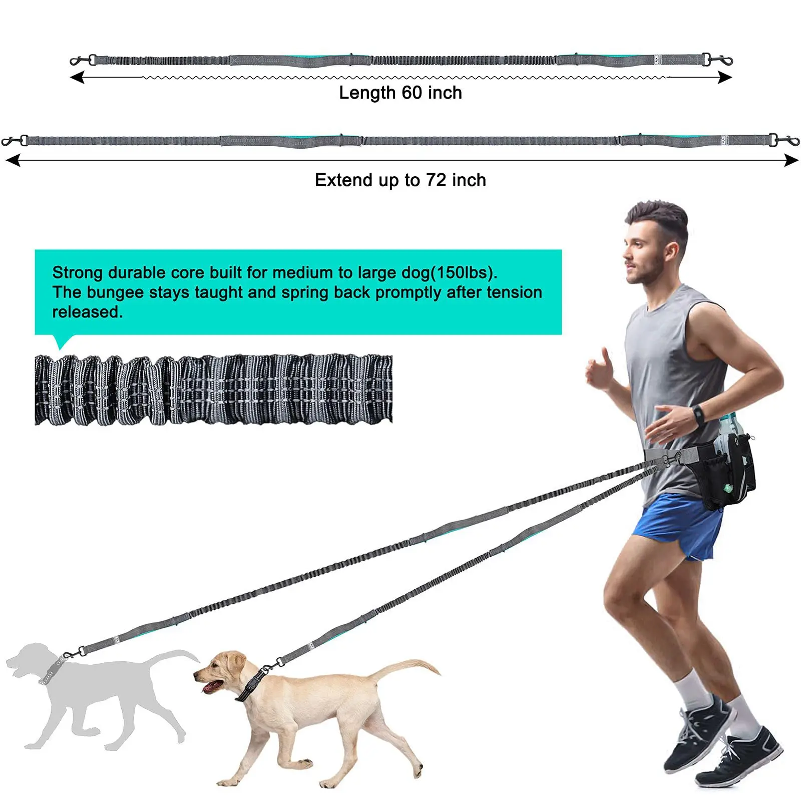 Retractable Hands Free Dog Leash with Adjustable Waist Belt for 2 Dogs Reflective Stitching Leash for Running Walking Hiking