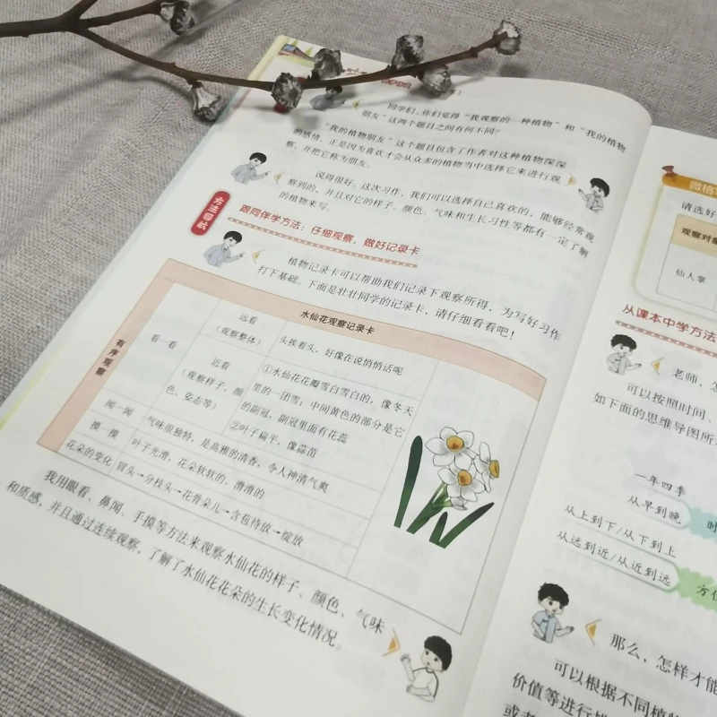 Third Grade Second Volume, Huanggang Xiaozhuangyuan Synchronous Composition Primary School Chinese Writing