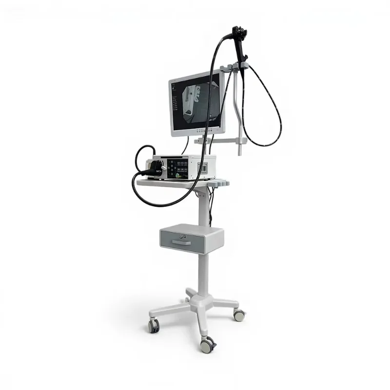 Vetoo VT-ES01 Veterinary Endoscopy System, Cold Light Source LED Light Source High definition Display, Metal Hose 1 Year Warrant