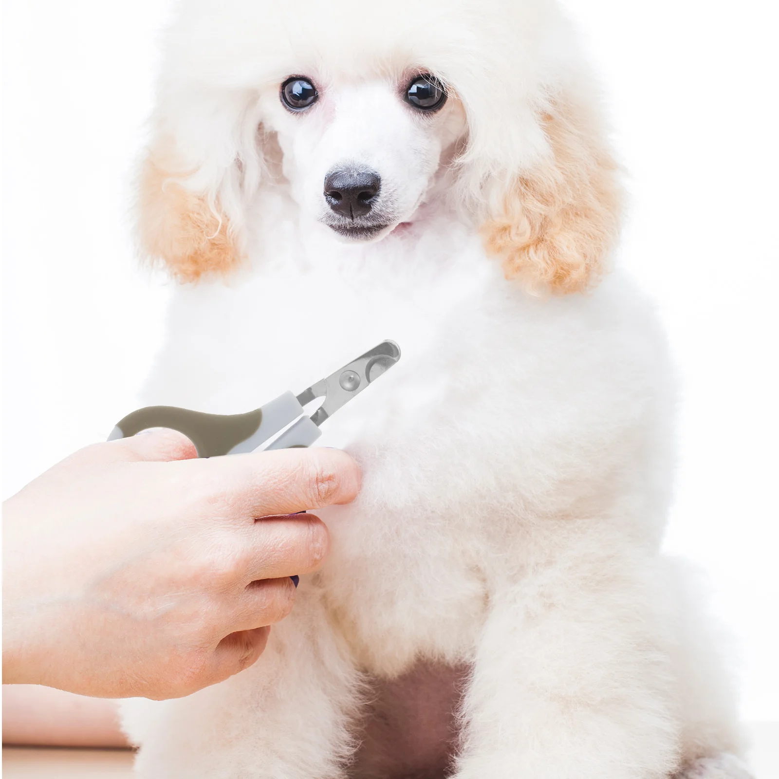 

Pet Nail Clipper For Dogs Cats, Stylish Color Compact Lightweight Ergonomic Handle Easy Use Efficient Trimmer Grooming Tool Dog
