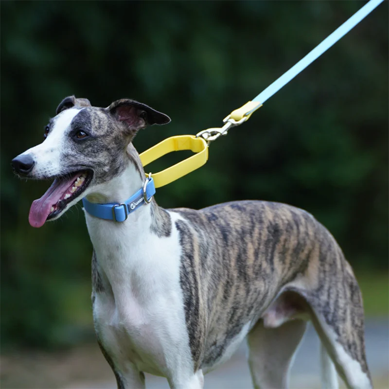 Fashion PVC Waterproof Pet Dog Collar and Leash Set Adjustable Pet Collar for Medium Large Dogs Semi telescopic Collar