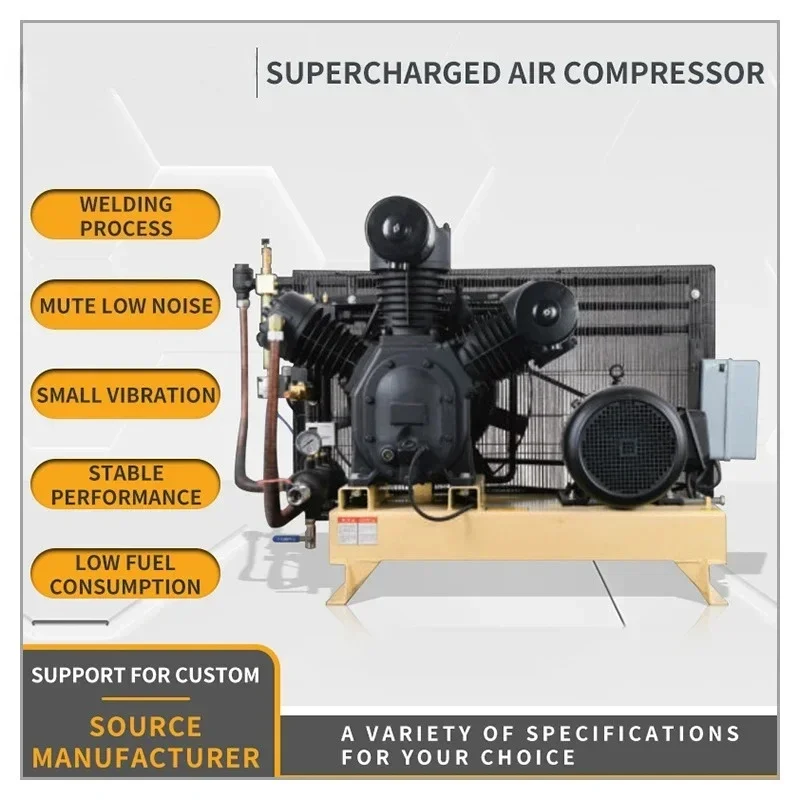 China Competitive Price High Pressure air Compressor 30 bar air Compressor