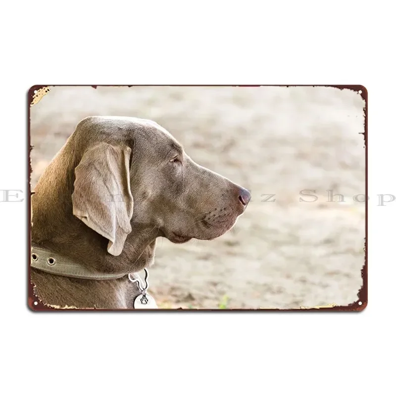 Adorable Weimaraner Metal Sign Cinema Funny Party Designer Wall Mural Tin Sign Poster
