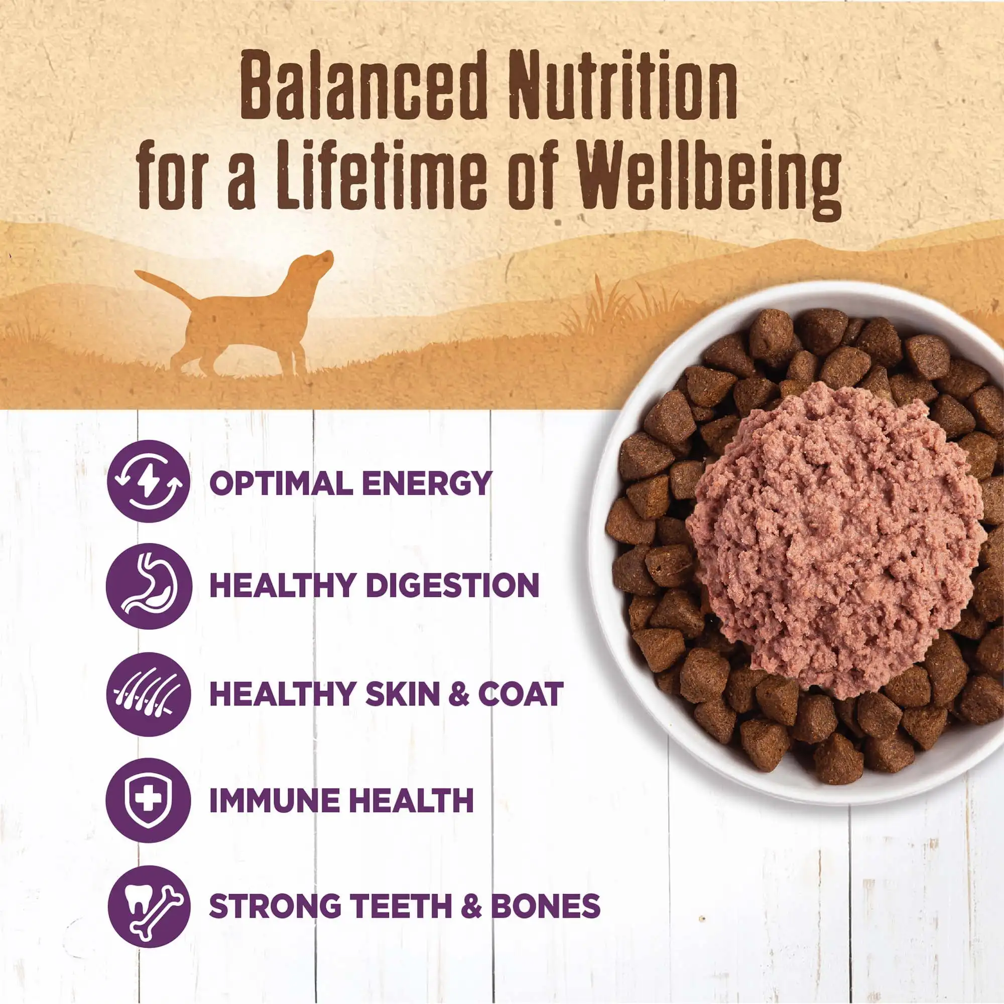 Wellness Cibo per cani in scatola naturale al 95% di pollo umido senza cereali, lattina da 13,2 once (confezione da 12)