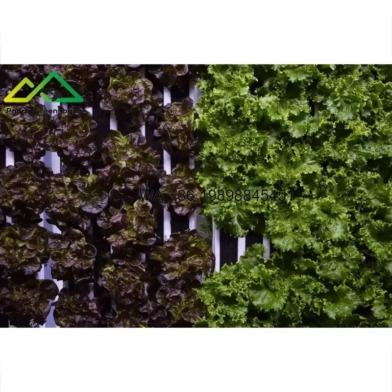 Wmwmnu Vertical Column Hydroponic Greenhouse System 360 Degree Grow Tower for High Density Strawberry and Leafy Greens