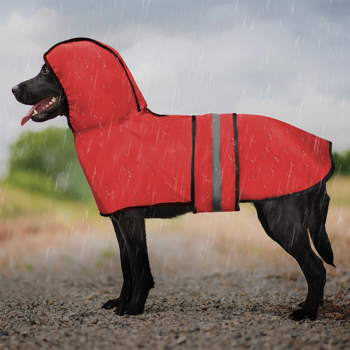 Thumbnail 2 - #1 Cheapest Pet Rain Jackets Deals You Can Get