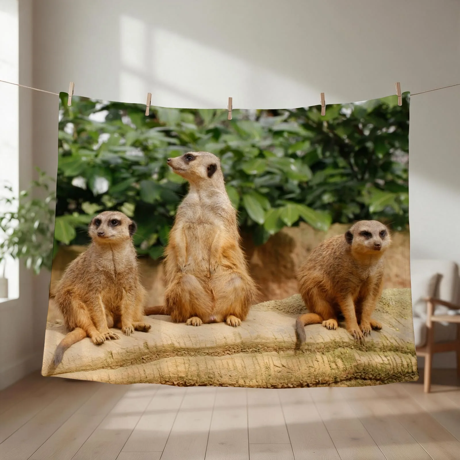 Meerkat 008 Throw Blanket Multi-Purpose christmas gifts anime Thins Blankets
