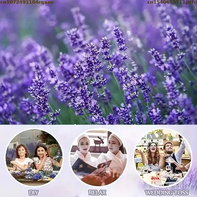 High Quality Natural Lavender Dried Flowers For Aromatic Soap Candle Lavender Flavor Women\'s Perfume Tea Essence Sachet Making