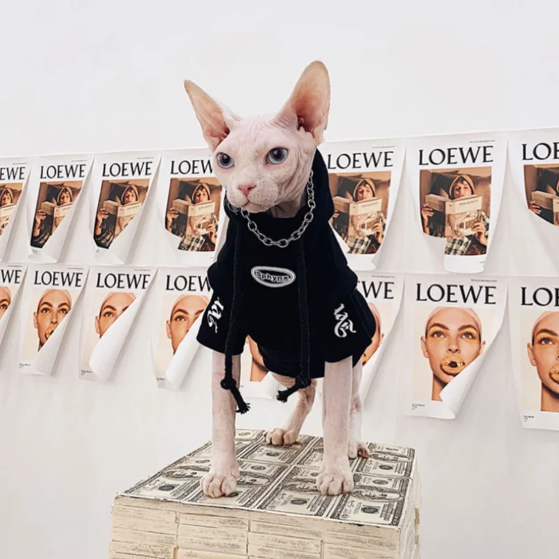 Fashion Spring Autumn Sphynx Devon Hairless Cat Clothes Cotton Fleece Hoodie for Devon Rex Cartoon Sweatshirt in Autumn