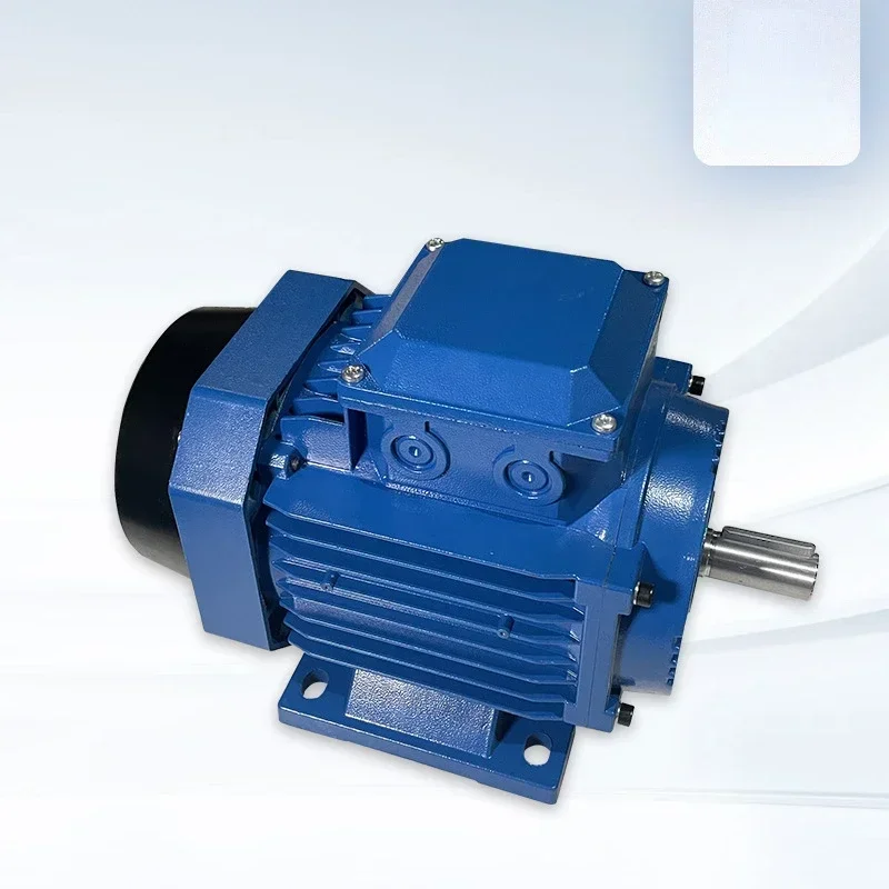 Six Pole Three-phase Asynchronous Motor For Gear Motor Conveyor Belt Equipment