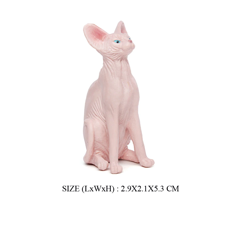 Cat -2