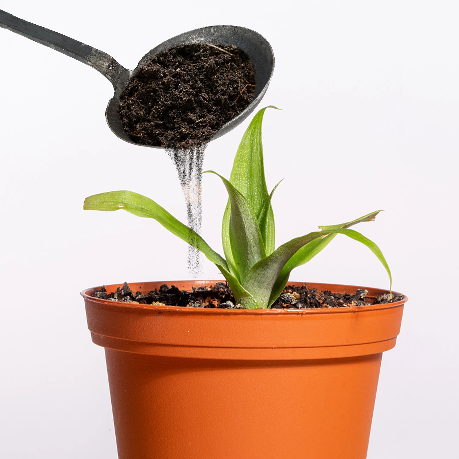 

Premium Metal Excavator Spoon Garden Shovel High Carbon Steel Scoop Multi-Functional Cultivation Feeding Tool Ergonomic Design