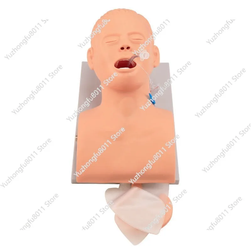 

Teaching Model Human Body Electronic Endotracheal Intubation Simulation Airway with Teeth Pressure Equipment 1:1 Life Size