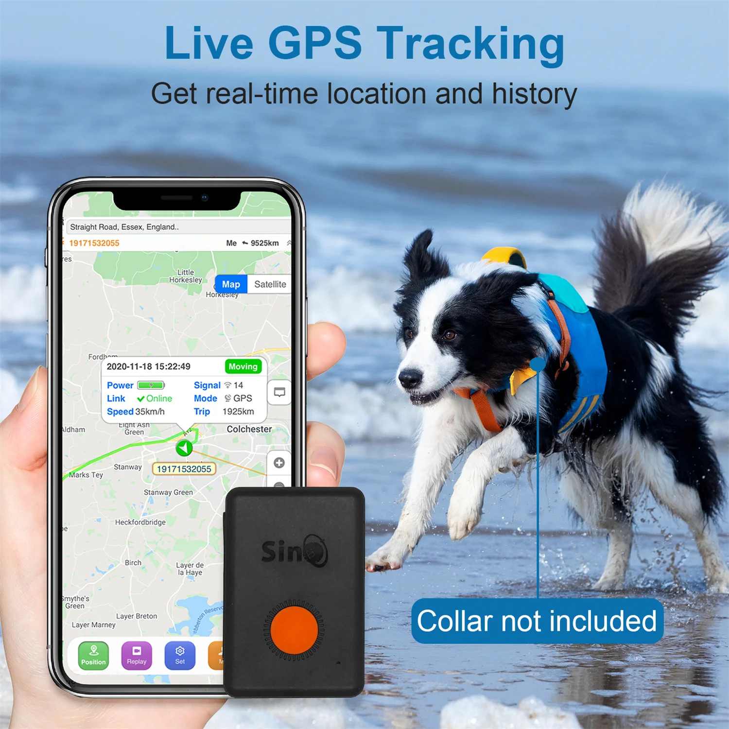 SinoTrack nuovo 4G Mini Tracker GPS impermeabile ST-904L per bambini dispositivo per animali domestici con Monitor vocale per auto personale con APP