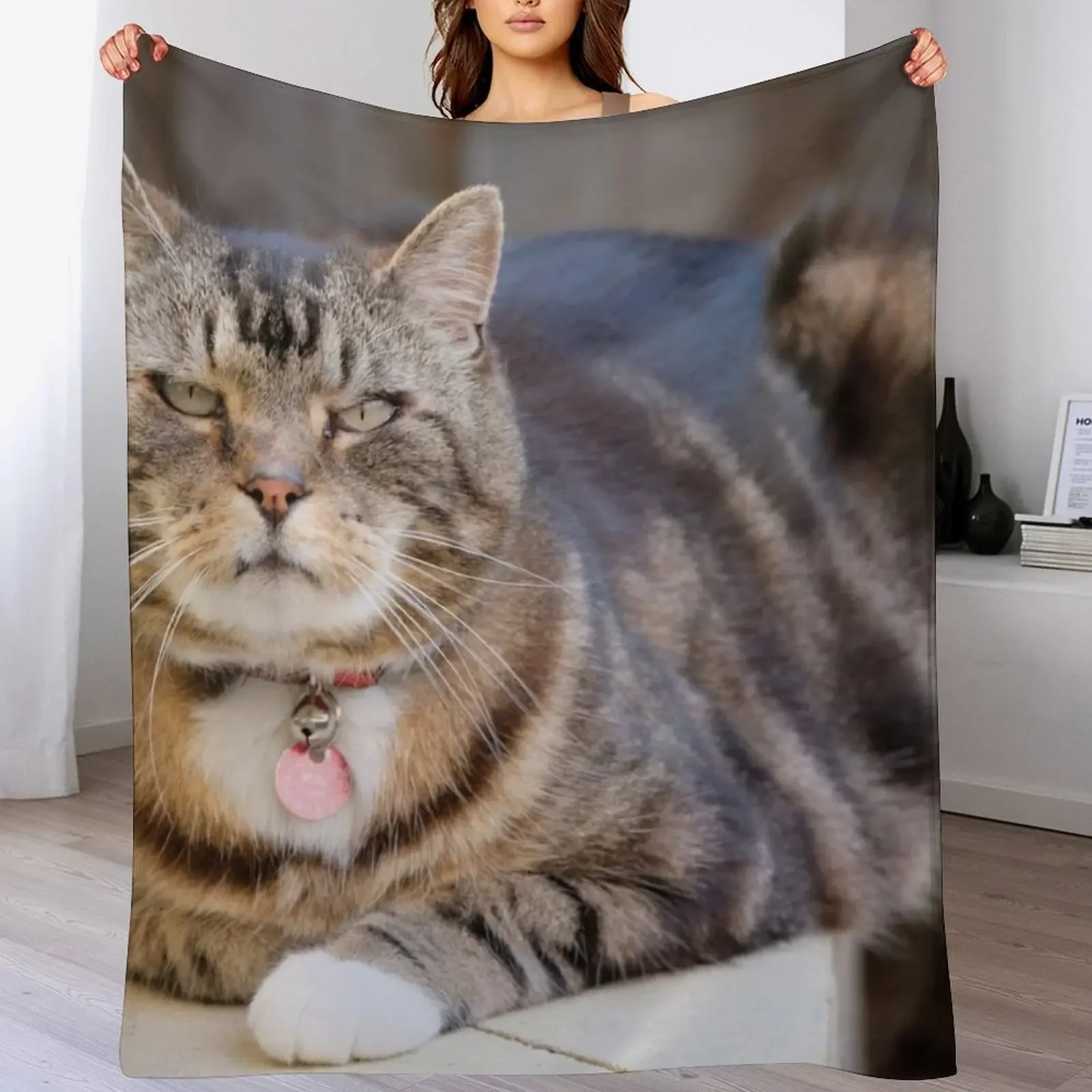 Grumpy Tabby Throw Blanket Summer Beddings Blankets Sofas Of Decoration Hair Blankets